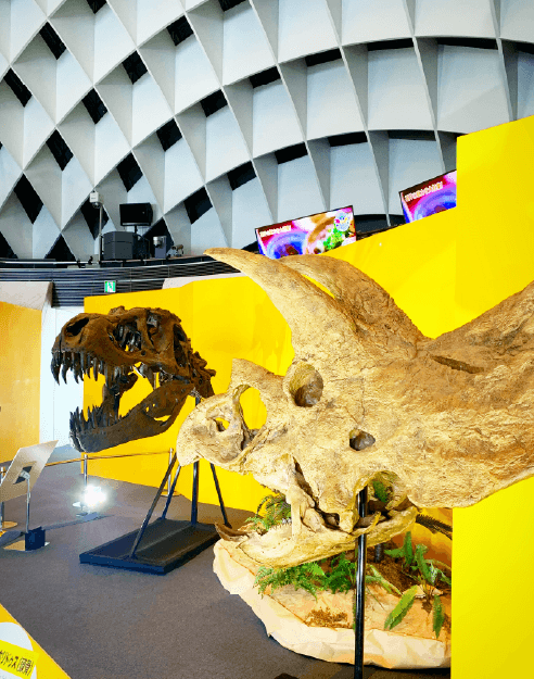 オダイバ恐竜博覧会2024