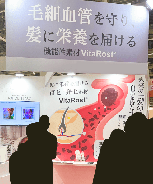 血管のイラスト