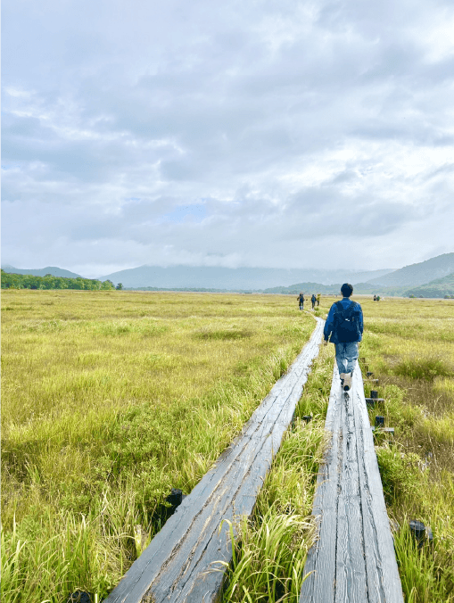 尾瀬の散策