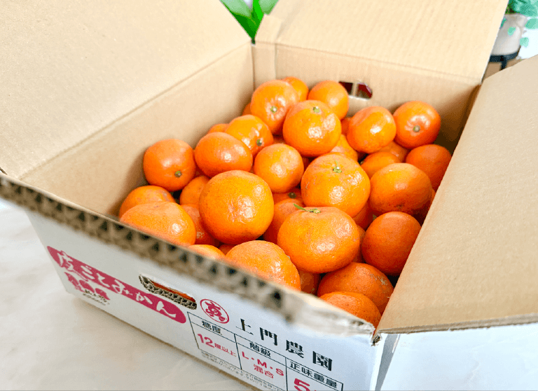 和歌山の皮ごとみかん