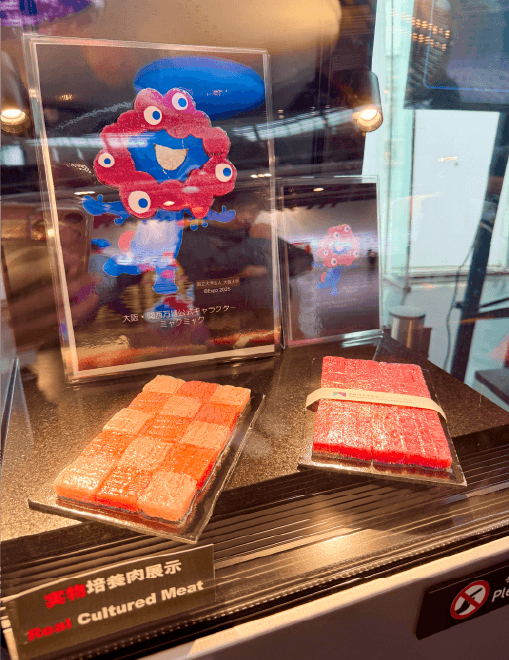 みゃくみゃくとつなぐ展