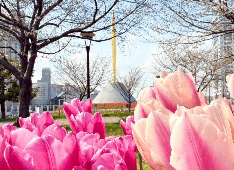 チューリップフェスティバル